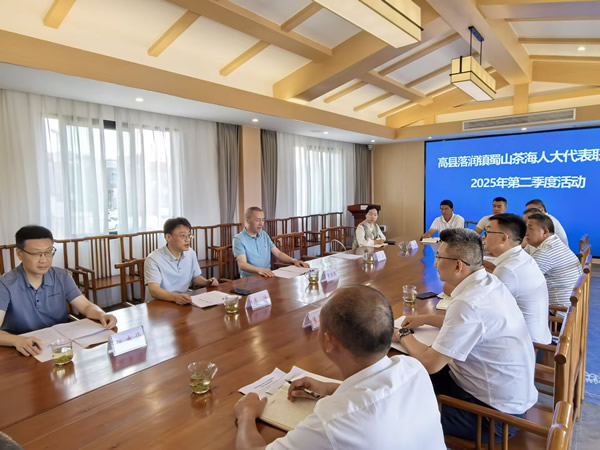 宜賓市人大信息技術(shù)咨詢(xún)服務(wù)的創(chuàng)新與實(shí)踐