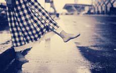 把盆栽和魚交給媽媽照看