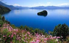 請假幫忙照看小弟弟