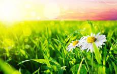 重婚罪犯人的老婆來探監(jiān)