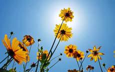 司機駕駛汽車能離懸崖多近