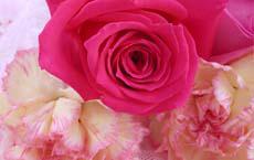 笨賊搶了假項鏈丟了真金項鏈