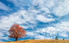 這個處方連服三天