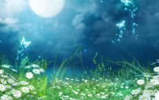 消除脂肪的方法是運(yùn)動(dòng)