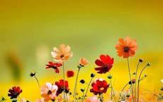 有了不達目的不罷休的決心