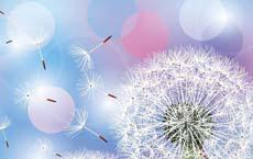 害怕難產從今以后分床睡覺