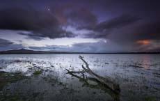 為了我，你千萬別再喝酒了