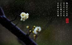 老師像點(diǎn)讀機(jī)專(zhuān)點(diǎn)不會(huì)的