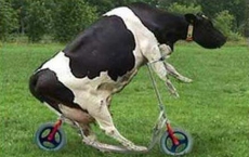 大學校園相聲搞笑段子