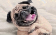 搞笑的大學校園故事