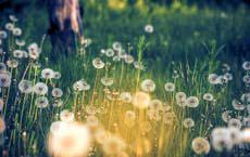 知道誰是成功之母